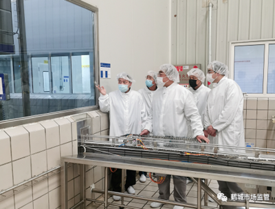 法律的本质与功能