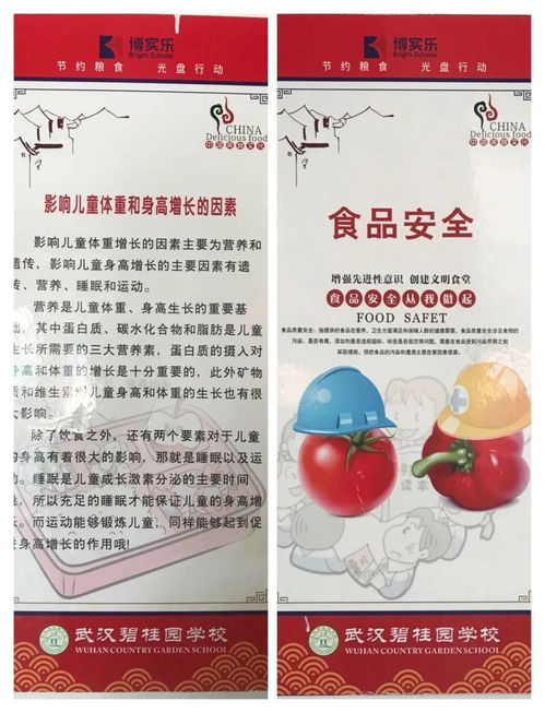 第二周营养食谱指南 打造均衡膳食，守护食品安全与营养